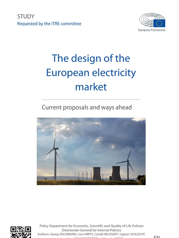 Electricity market reform